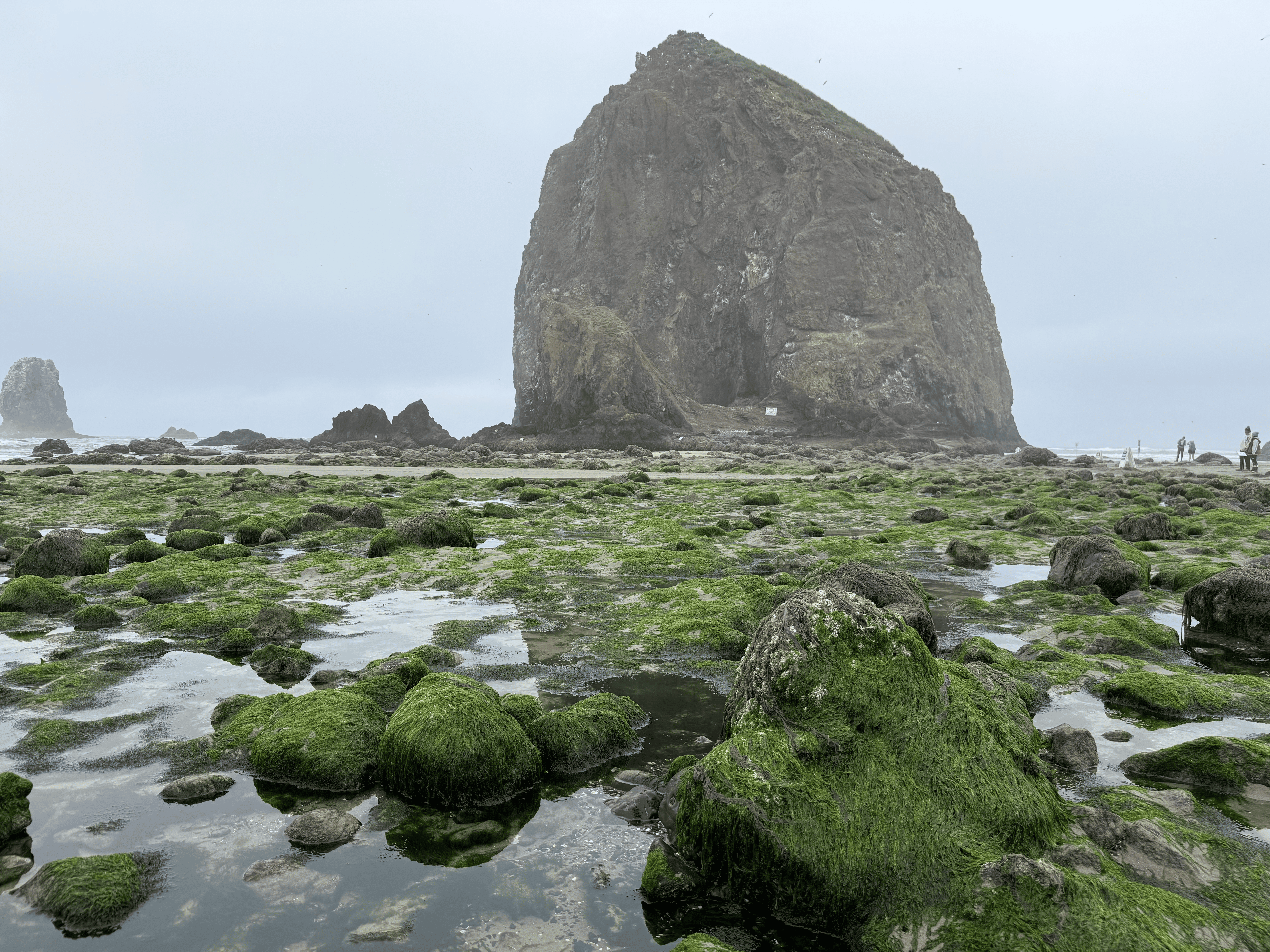 Cannon Beach