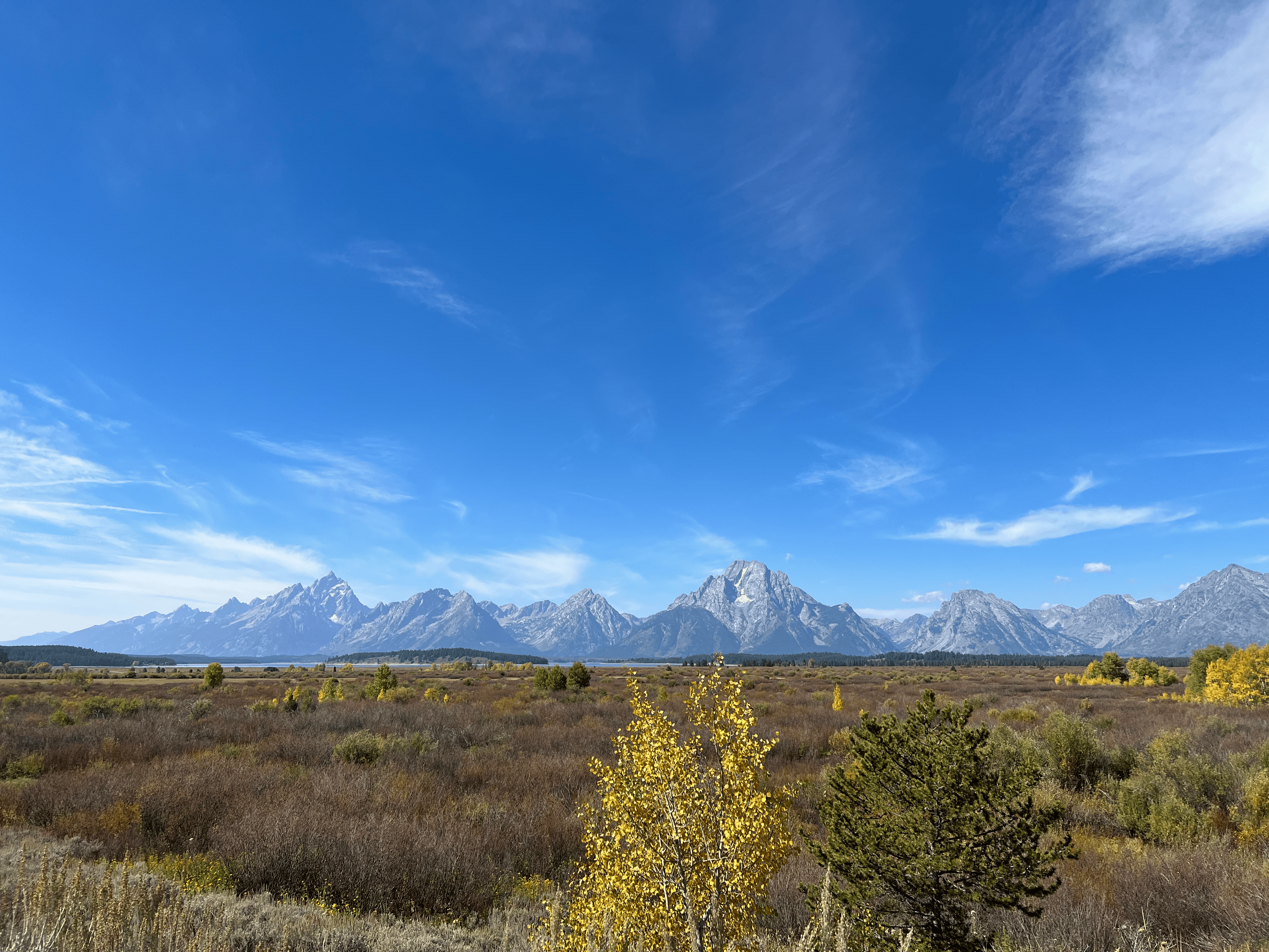 Schwabacher's Landing